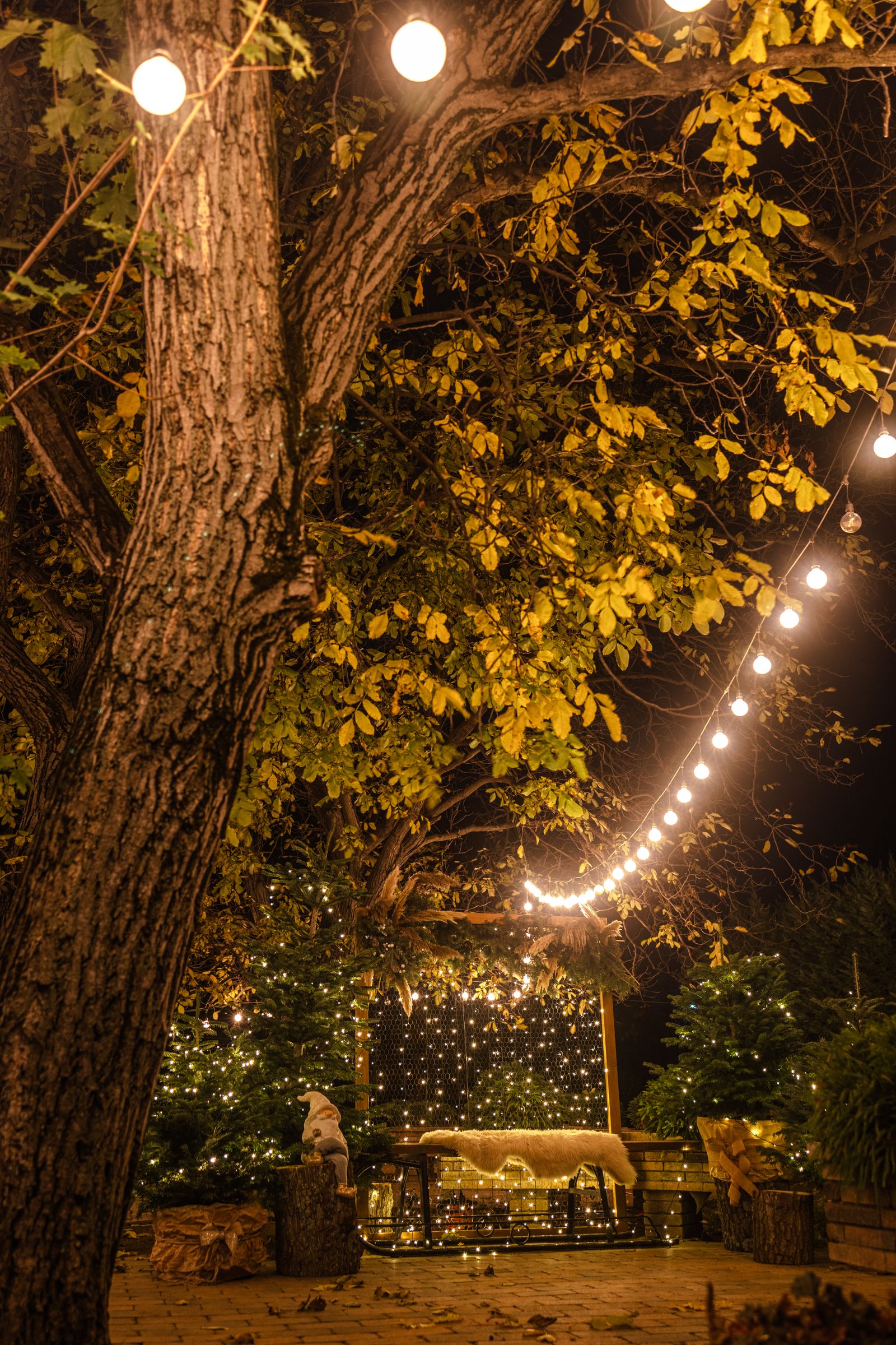 Permanent Warm White Lighting used in an outdoor setting
